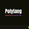 Polylang for WooCommerce – Multilingual Store Integration Plugin